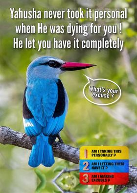 Benny wants to deny himself and follow Yahusha's example by letting everyone have it, so that his loving behaviour can really affect them, and encourage them to wanna change. Benny is a very brave Bird! Be like Benny!