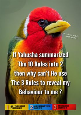 This Red-Headed Barbet has been listening to Yahusha (He loves redheads too you know!) Yahusha took the 10 main Instructions from His Eternal Blood-Covenant and summarized them into 2: 